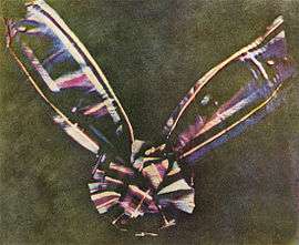 A bow made of tartan ribbon.  The center of the bow is round, made of piled loops of ribbon, with two pieces of ribbon attached underneath, one extending at an angle to the upper left corner of the photograph and another extending to the upper right.  The tartan colors are faded, in shades mostly of blue, pink, maroon and white; the bow is set against a background of mottled olive.