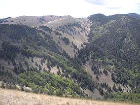 Partially forested mountains in Lincoln National Forest.