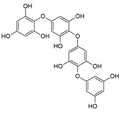 Chemical structure of tetraphlorethol C