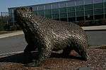Statue of the BSU Bear mascot