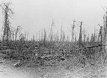 A photo of a devastated treeline showing broken trunks and limbs.