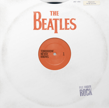 A mock-up of a vinyl record with a plain white cover that has the album title and artist on it