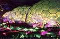 The Eden Project, at Night - geograph.org.uk - 225026.jpg