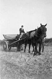 A black-and-white photo of a horse, a man and an agricultural device