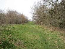 Path in The Mill Field, Mill Hill