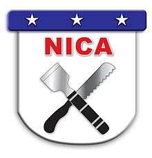 The NICA shield