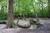 Prittle Brook in Belfairs Wood