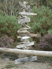 signpost with several signs on top of each other