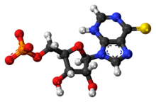 Ball-and-stick model of the thioinosine monophosphate anion