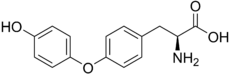 Skeletal formula of L-thyronine
