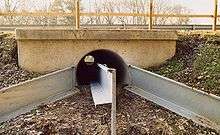 Tunnel for toads