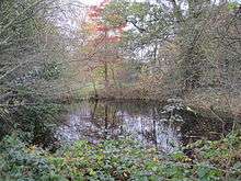 Pink Cottage Pond on Totteridge Common