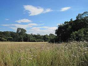 Totteridge Fields Local Nature Reserve, Arkley