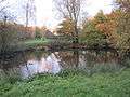 Laurel Farm Pond in Totteridge Green