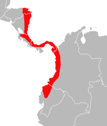 Map of Transandinomys bolivaris distribution