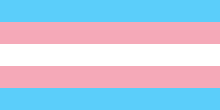 Flag with five horizontal bars: white in center, surrounded by pink, surrounded by light blue