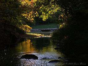 Travertine Creek in fall