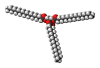 Space-filling model of the tristearin molecule