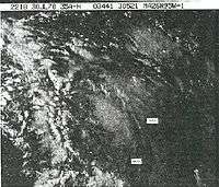 An obscure black and white satellite image of a tropical storm. Not many features are discernible, but several thunderstorm clouds are.