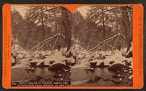 Trout stream in winter, among the Alleghenies near Cresson, on the P. R. R, by R. A. Bonine.jpg