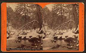Trout stream in winter, among the Alleghenies near Cresson, on the P. R. R, by R. A. Bonine 2.jpg