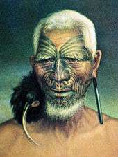 Old painting of a Māori man with a birdskin ornament hanging from one ear