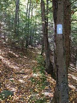 Tunxis "White-Dot" Blue-Blazed hiking trail near Bradley Brook and CT Route 4 in Nassahegon State Forest (Burlington, Connecticut)