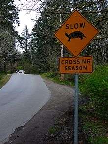 An orange, diamond-shaped sign on the right side of a winding road way that says "Slow: crossing season" with a picture of a turtle.