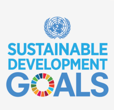 Logo for the United Nations Sustainable Development Goals with the UN symbol above the words "Sustainable Development Goals". The "O" in goals being a rainbow of colours