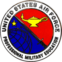 US Air Force Professional Military Education Badge