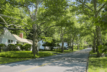 A shaded suburban road