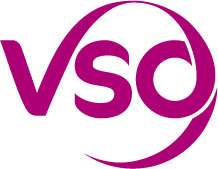 VSO logo image