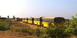 Line of yellow buses