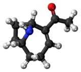 Ball-and-stick model of the anatoxin-a molecule