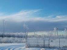 Five wind turbines in snowy forest