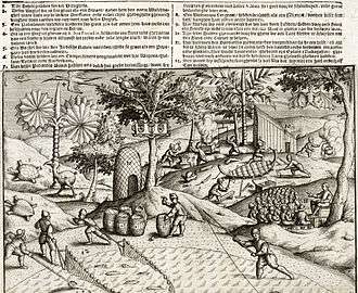 Engraving showing Dutch sailors working on Mauritius, as well as several local animals, including a dodo