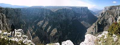 Panoramic view of a deep gorge with grey and white cliffs and a man standing on the foreground, bottom left.