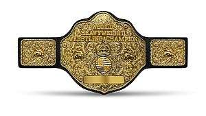 A professional wrestling championship belt with a roughly circular golden front plate