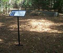 An open spot in some woods is covered with pine needles. An interpretive sign stands before the scene.