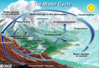 Diagram of the water cycle