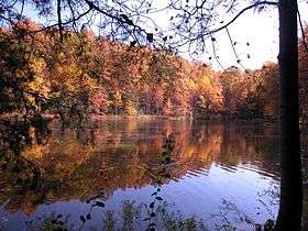 Lake with fall foliage
