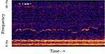 Spectrogram of the Whistle sound