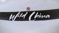 Wild China title card