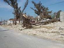 Trees that havef allen over in Freeport, Bahamas after Hurricane Wilma