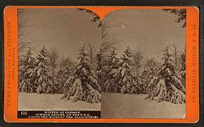Winter at Cresson, summer resort, on the P. R. R. among the wilds of the Alleghenies, by R. A. Bonine 4.jpg