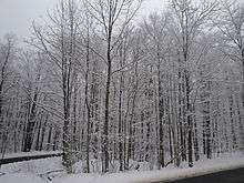 Wintertime at Wick, Pennsylvania