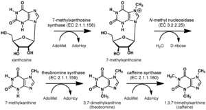 Synthesis diagram