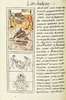 The Florentine Codex- Moctezuma's Death and Cremation.tif
