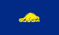 A navy blue flag depicting a gold-colored beaver in the center.